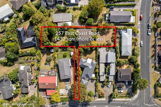 257 East Coast Road Mairangi Bay_3