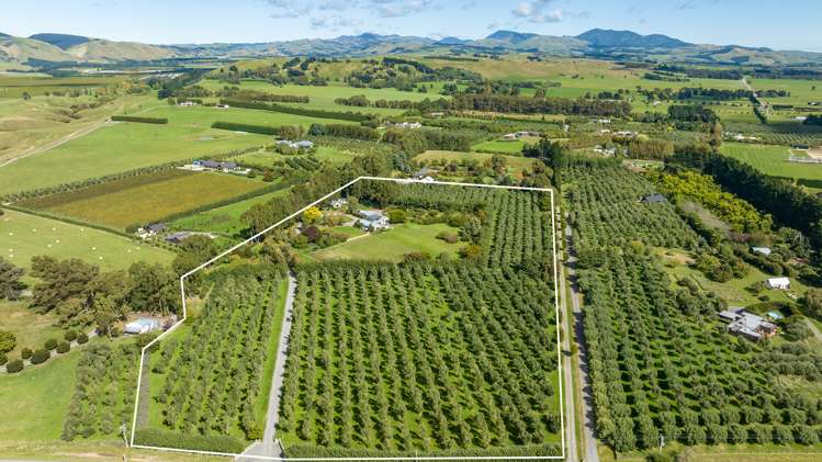 136 Hinekura Road Martinborough_41