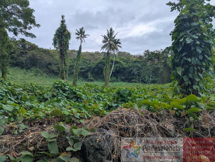 Address withheld Taveuni_11
