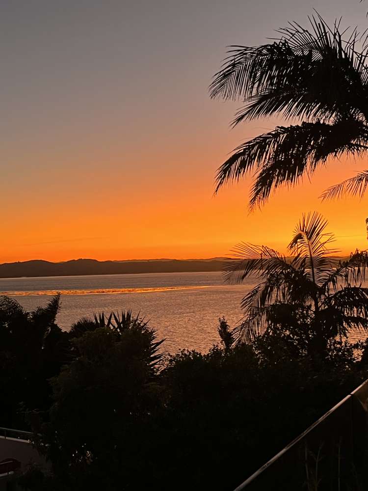 64 Scott Road Tamaterau_26