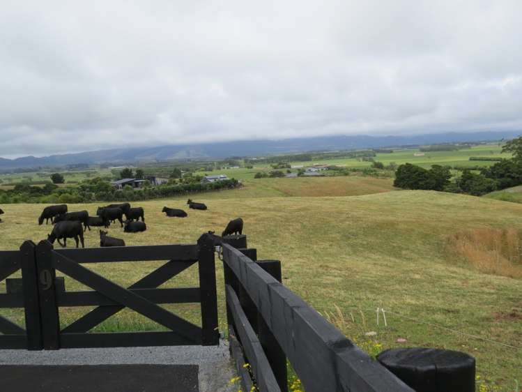 7 Lewis Road Otaua_2