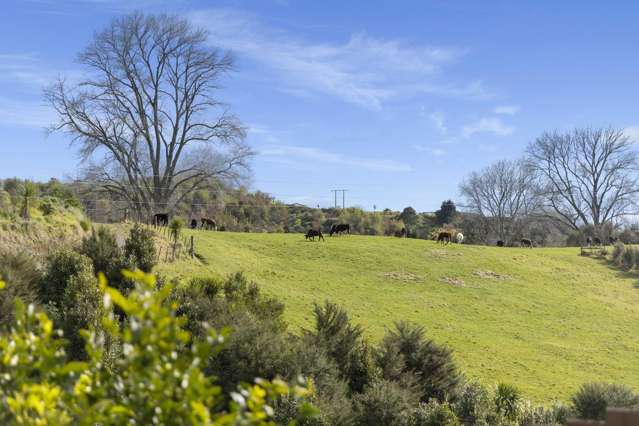 44 Falcon Drive Welcome Bay_3