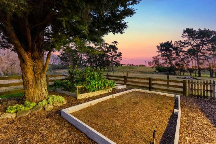 86b Wymer Road Glenbrook_3