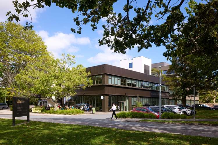 L3, 68 Ward Street_0