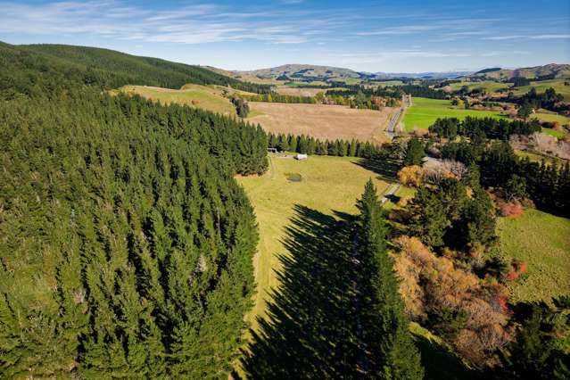 8P Davaar Road Greta Valley_3