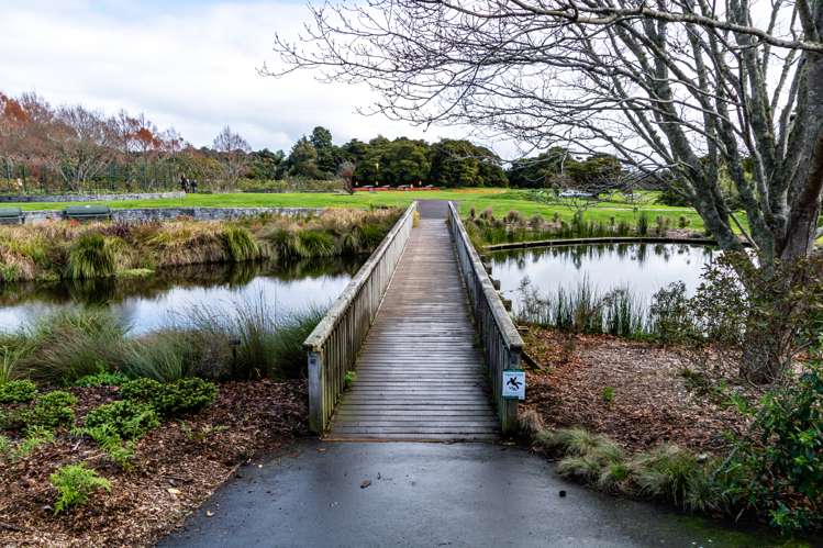 806/96 Symonds Street Grafton_5