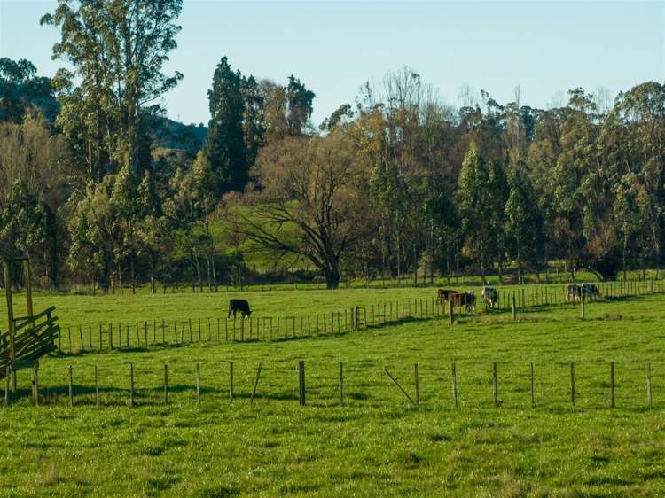 82 Thorn Road Dovedale_19