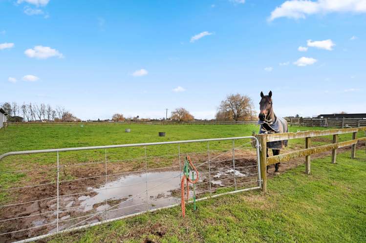 59 Racecourse Road Cambridge_44