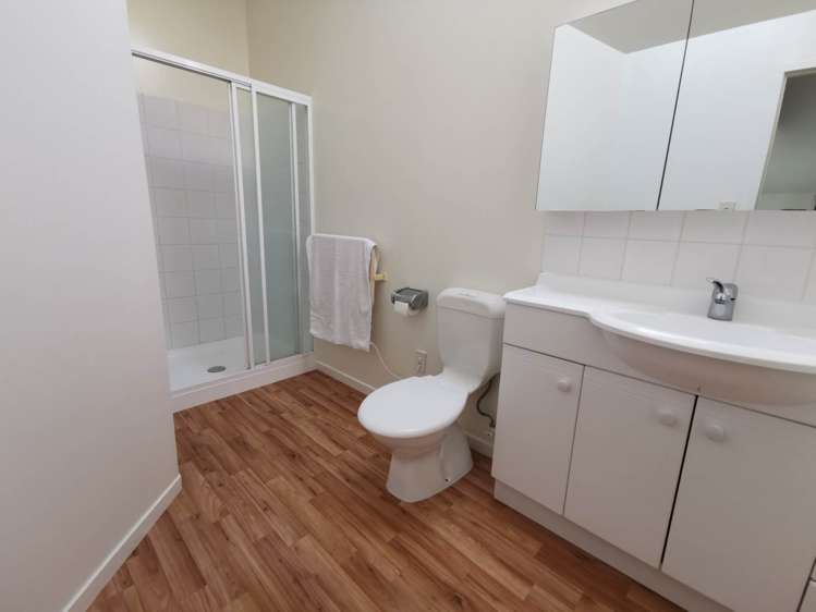 17 Bradford Street Parnell_15