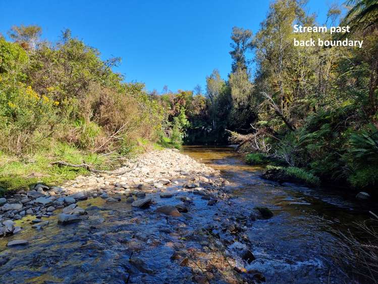 Blue Spur Road Hokitika_12
