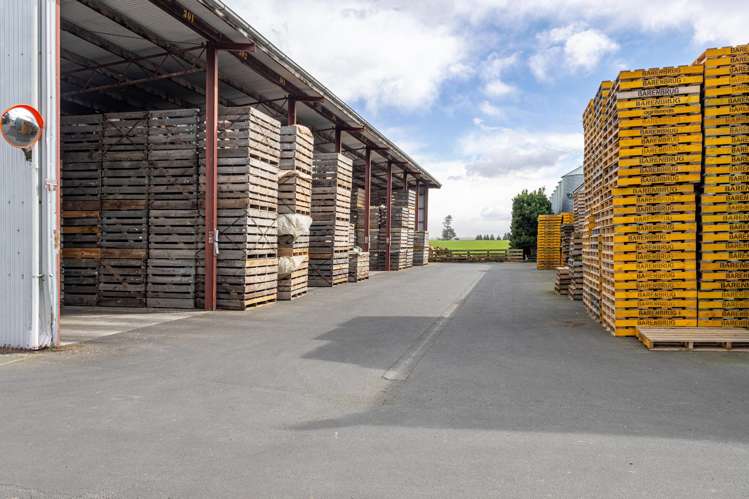 20 Framptons Road Hinds_14