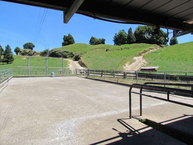 1840 Manawahe Road Manawahe_10