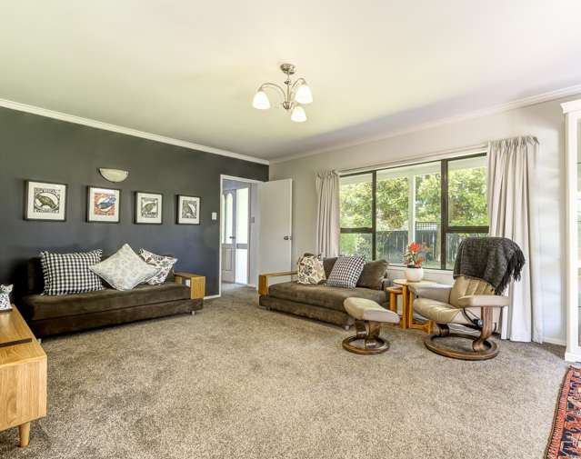 6 Chestnut Place Pukete_4