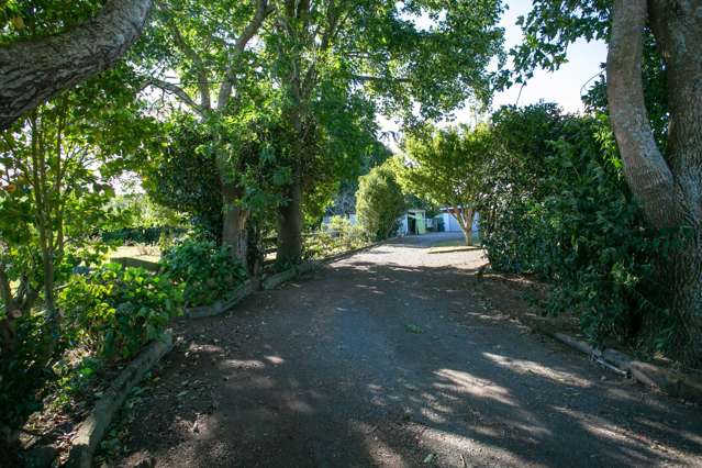 429 Morgan Road Matamata_2