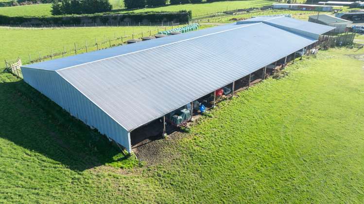 305C Waimumu Road Waimumu_15