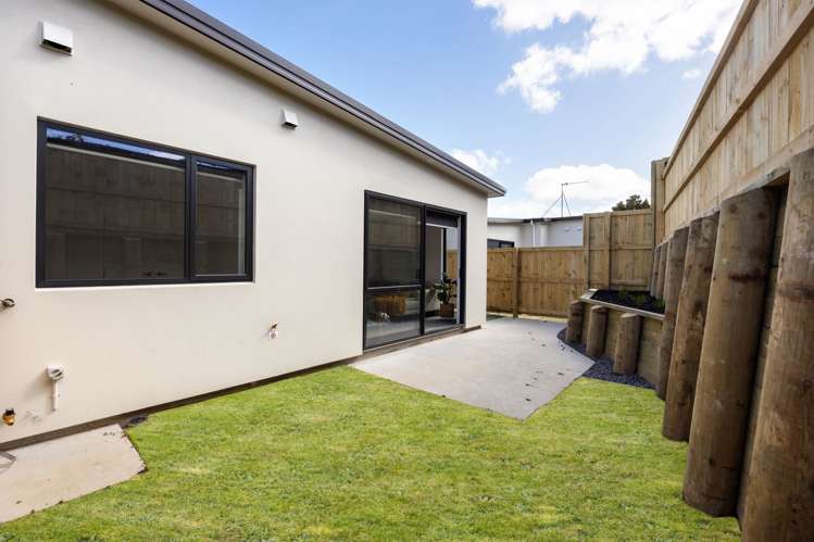 3/155 Rimu Street Maeroa_2