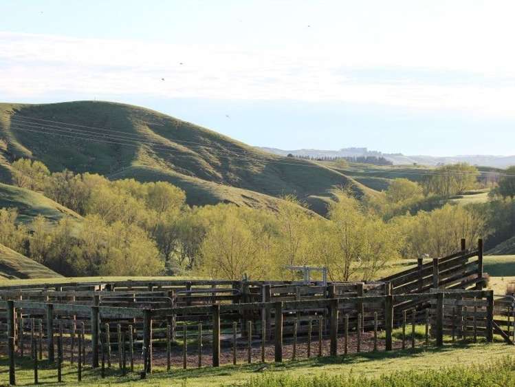 93 Bird Road Central Hawkes Bay Country_18