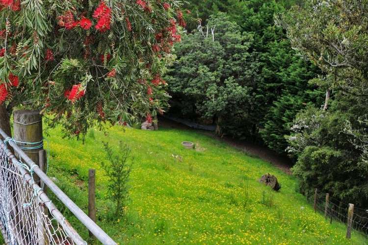 1000 Houto Road Tangiteroria_11