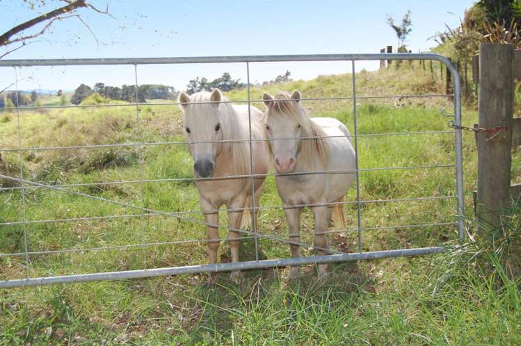10 Rangiora Road Kaiwaka_13