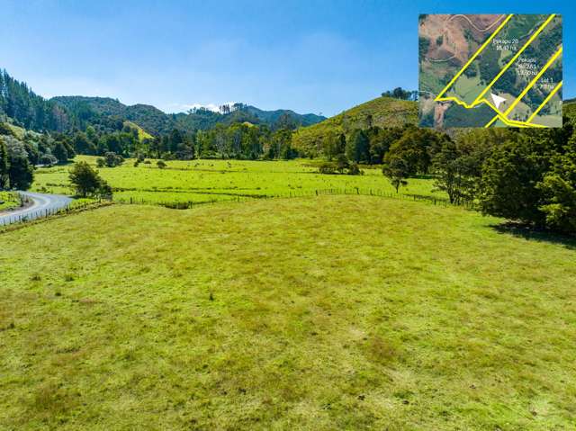 Telfer Road Parua Bay_4