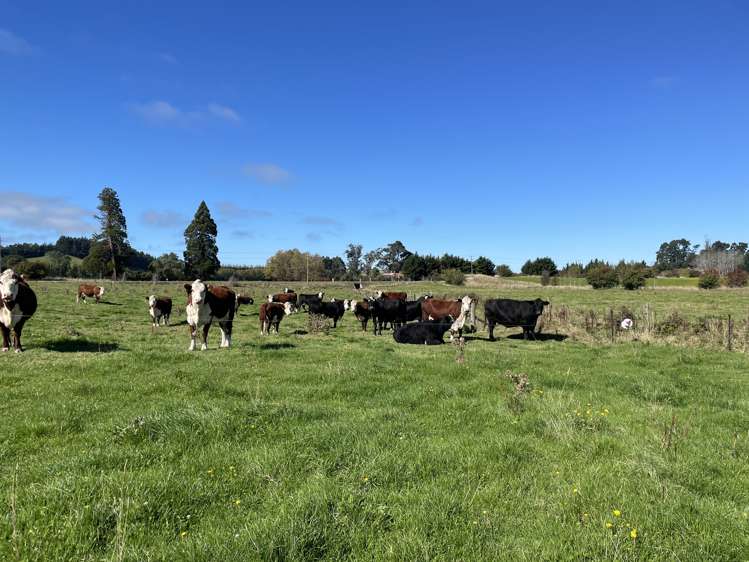 623 Palmerston-Waikouaiti Road Goodwood Palmerston_22