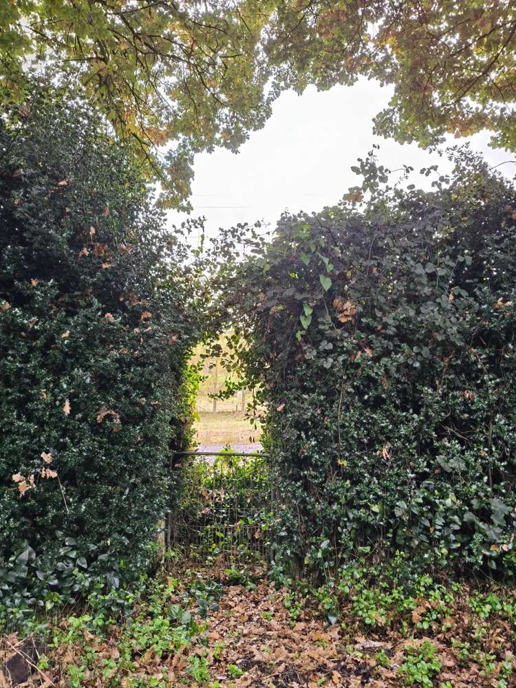 76 Wetherstons Road Lawrence_12