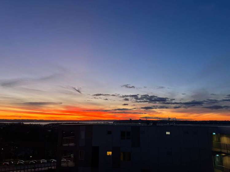 11A/31 Day Street City Centre_4