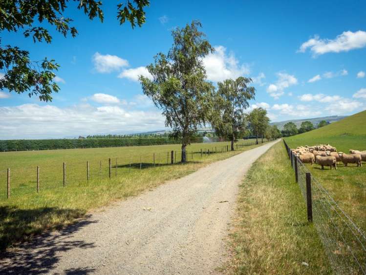 233 Raincliff Road Pleasant Point_7