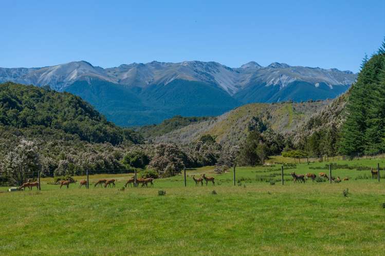 990 Howard Valley Road Howard_2