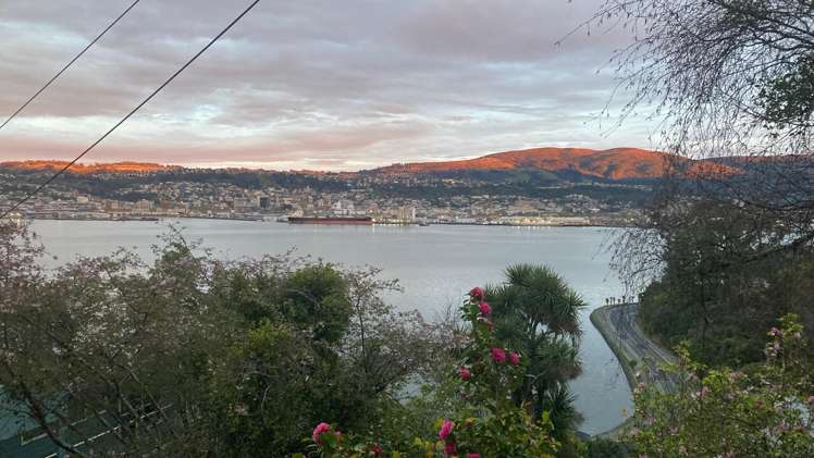 14 Glengyle Street Vauxhall_22