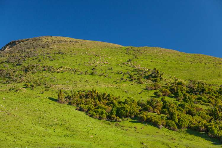 3276 Inland Kaikoura Road Stag And Spey_13