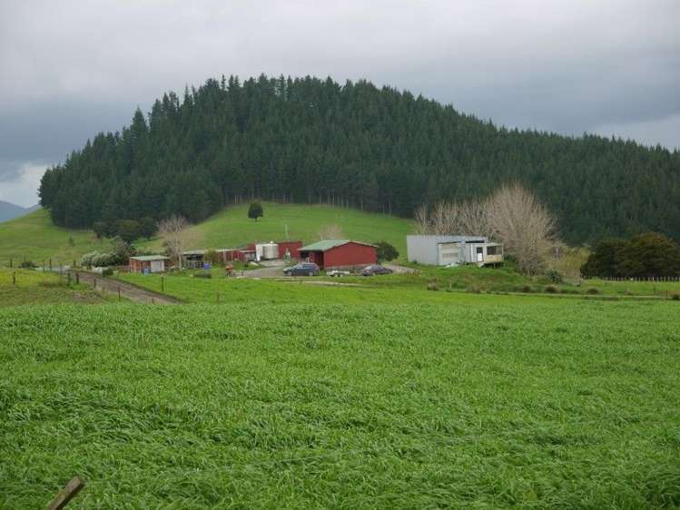 259 Waimata Road Dargaville Surrounds_16
