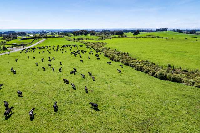 539 Kent Road Korito_1