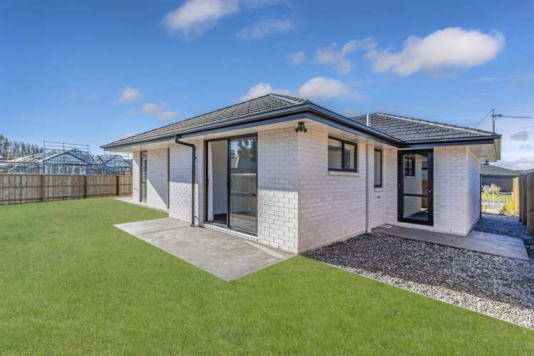 1 Pip Lane Belfast_11