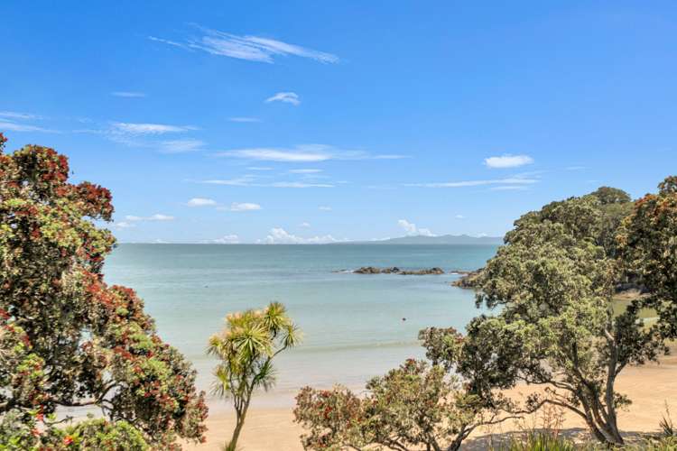 23 Kotare Drive Coopers Beach_10