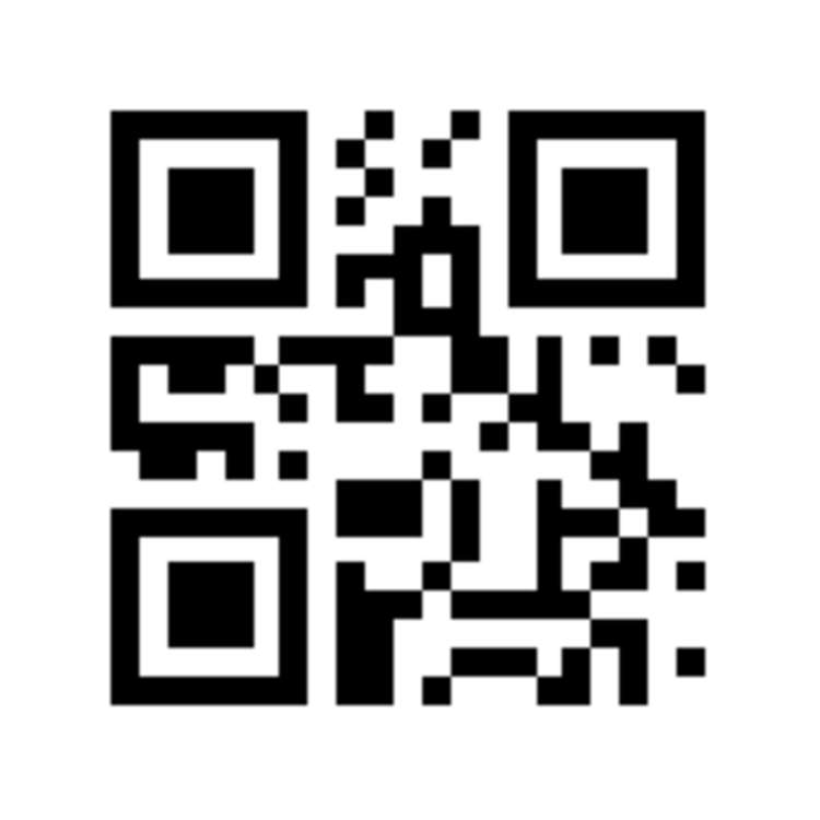 19 Swansea Place Tamatea_14