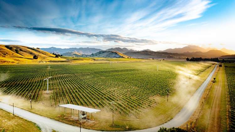 413 Upton Downs Road Seddon_1