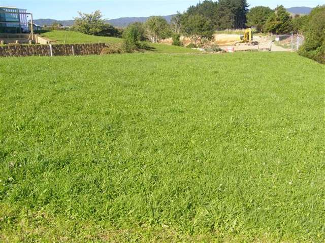 30 Speranza Avenue Otaki_4