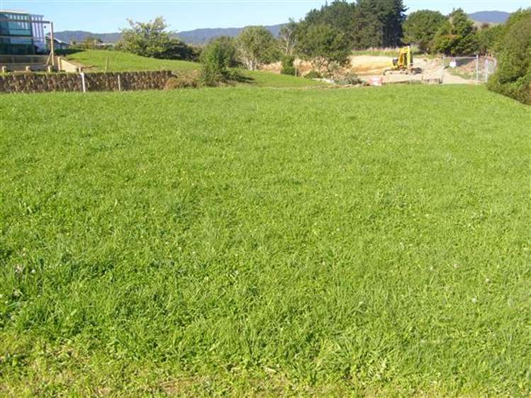 30 Speranza Avenue Otaki_4