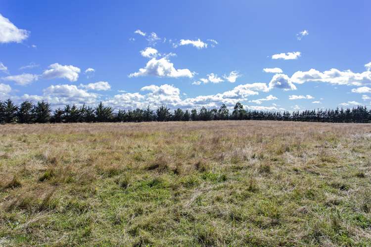 1003 Marshmans Road Balcairn_18