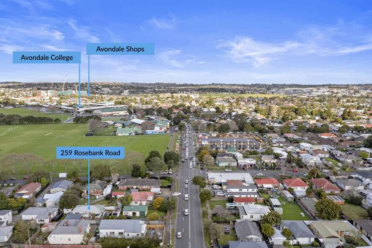 259 Rosebank Road Avondale_15