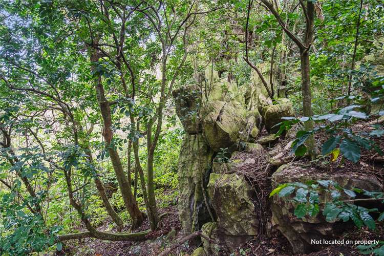 81 Hospital Road Horahora_23