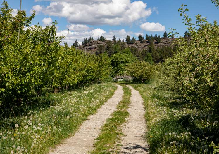 18 Conroys Road Alexandra_7