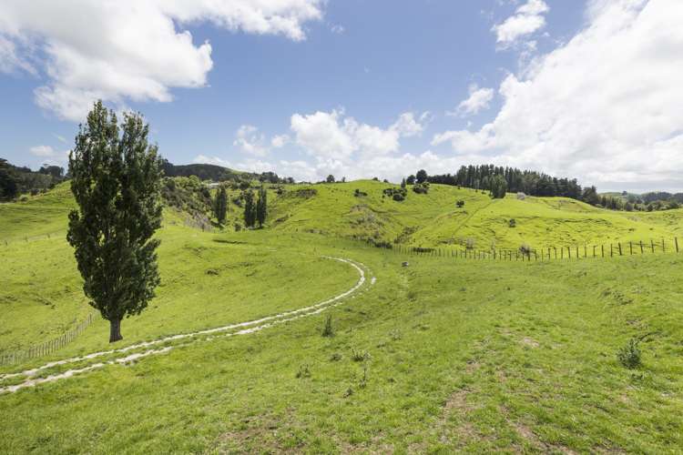 648 Finnis Road Pohangina_13