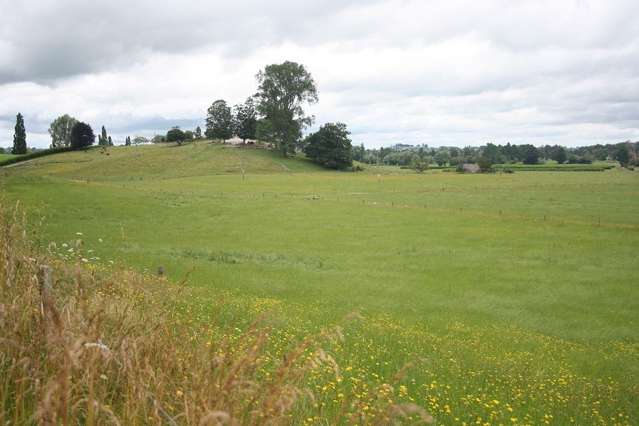 Old Te Kuiti Road Otorohanga_2