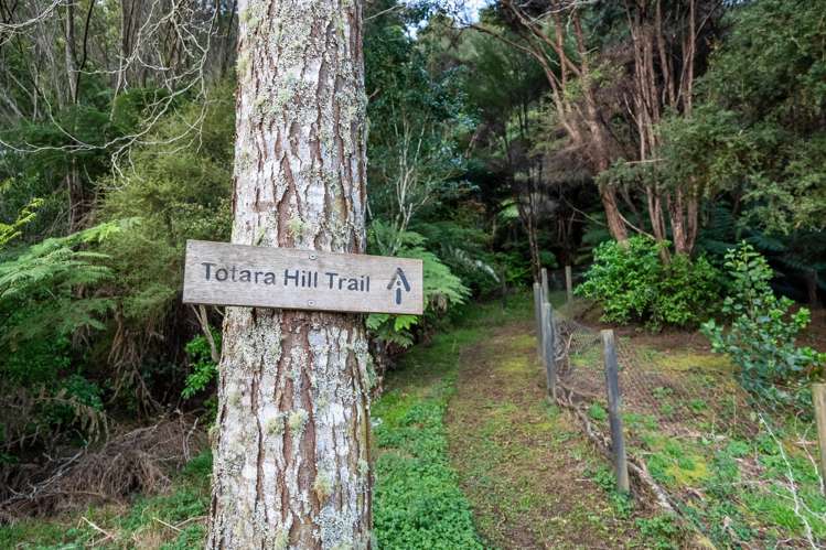 86 Upper Waiwera Road Puhoi_33