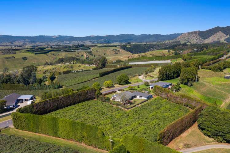 494 Paerata Ridge Road Opotiki and Surrounds_34
