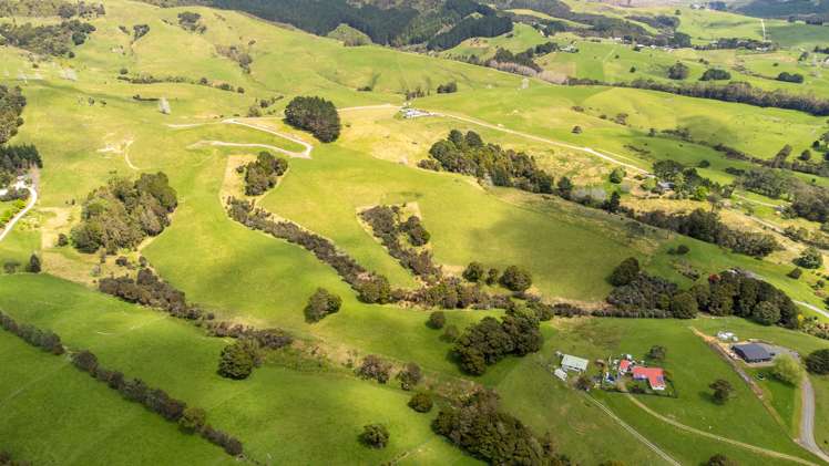 608b West Coast Road Makarau_42