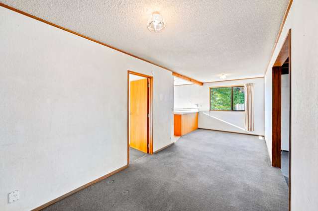 6 Plantation Road Wanaka_4