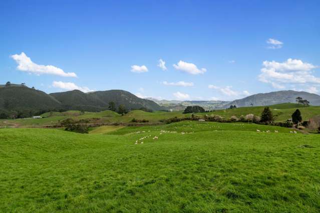 Coates Road Waikite Valley_1